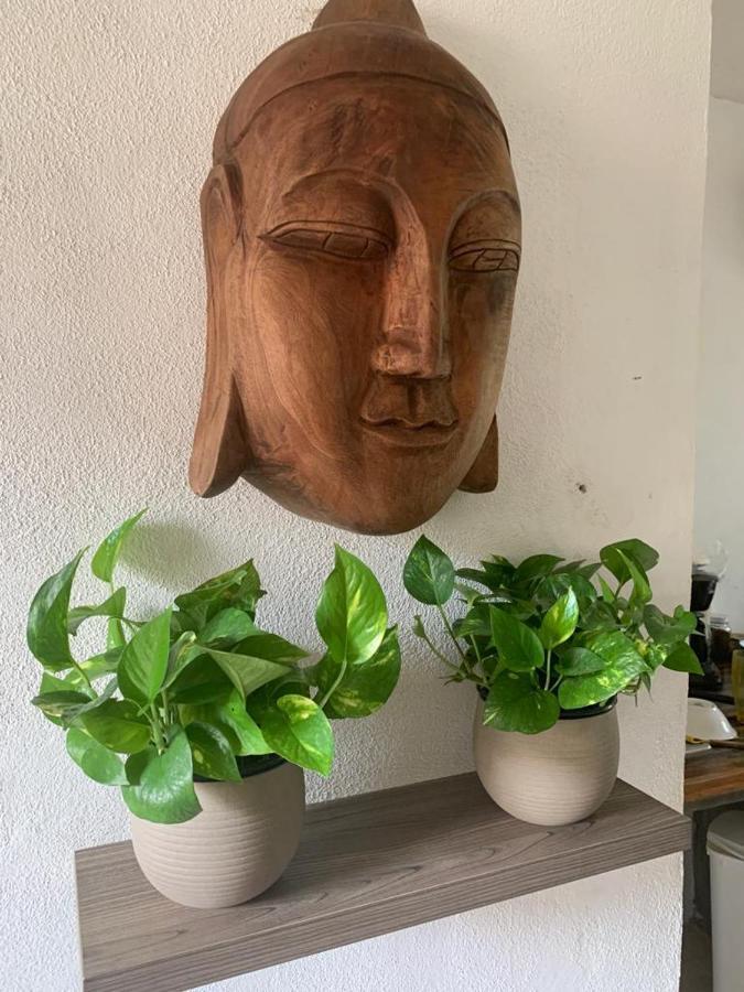 Casa Candra San Francisco  Zewnętrze zdjęcie